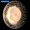 Настенный светильник Crystal Lux Contessa Cu_1433_402 цвет белый/прозрачный/латунь