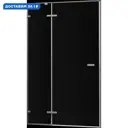 Душевая дверь Rgw 595164 120см эффект стекла прозрачный распашной