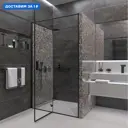 Душевая дверь Veconi Vianno 120x195 см распашная, профиль черный, стекло прозрачное