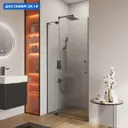 Душевая дверь Cezares 613399 110см эффект стекла прозрачный распашной