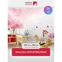 Фотообои флизелиновые Первое ателье 500x250 см pw95513-5