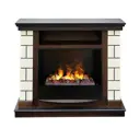 Каминокомплект Realflame Salerno 26 AO с очагом CRONUS (CSTS63) 250Вт античный дуб