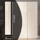 Дверь для шкафа Лион 39.6x225.8x1.6 см ЛДСП цвет бежевый