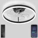 Люстра-вентилятор светодиодная Natali kovaltseva Led lamps 81490 с пультом 18 м² освещение менее 9 м² вентиляция регулируемый белый свет цвет черный