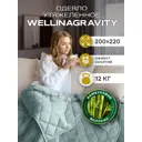 Одеяло утяжеленное Wellinagravity WGM-22-мятный 12кг, 200x220 см, стеклянные микрогранулы