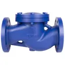 Клапан обратный подъёмный Рашворк 487-050-16 DN50 PN16 чугун
