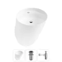 Раковина Wellsee m1 limited edition 20215019R 45см цвет раковина 3 в 1: д/к, сифон