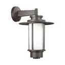 Светильник уличный настенный Odeon light 4047/1w 18 Вт IP54 цвет коричневый
