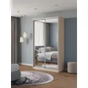 Шкаф-купе Клевер Атина с 2 дверями 240x130х45 см 6 полок ЛДСП цвет шамони светлый зеркальный