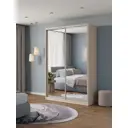 Шкаф-купе Клевер Атина с 2 дверями 240x160х45 см 6 полок ЛДСП цвет шамони светлый зеркальный