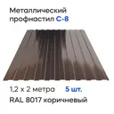 Профнастил металлический Ижторгметалл С8 2x1.204м 0.5мм цвет шоколадно-коричневый 5шт