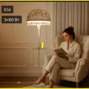 Торшер Citilux Базель cl407925t патина со столиком и абажуром вышивка цвет белый