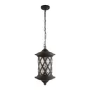 Светильник уличный подвесной Loft it 100018p 100 Вт IP55 цвет черный