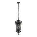 Светильник уличный подвесной Loft it 100019p bs 100 Вт IP55 цвет серый / серебристый