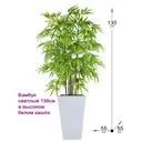 Искусственное растение Фитопарк Бамбук Светлый в белом кашпо 130 см