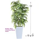 Искусственное растение Фитопарк Бамбук Темный в кашпо 150 см