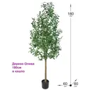 Искусственное дерево Фитопарк Оливковое в кашпо 180 см