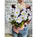 Искусственное растение Ромашки Фитопарк 50 см
