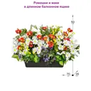 Искусственное растение Фитопарк Ромашки и Маки в ящике 50 см