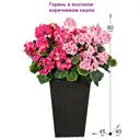 Искусственное растение Герань Фитопарк в кашпо 80 см