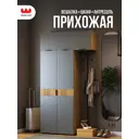 Комплект мебели для прихожей Mebelson К31 120x222.6x35 см ЛДСП цвет дуб крафт золотой/графит