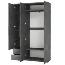 Шкаф распашной Гамма Мелодия МКЯ-32/1 с 3 дверями 165x220x45 см ЛДСП цвет ароза реликтовая