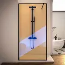 Душевая перегородка Veconi KR81BC-100-09-C4 100x200см черный профиль