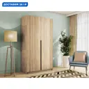 Шкаф распашной Мебельная компания е1 121x220x52.5 см ЛДСП цвет сонома