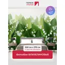 Фотообои флизелиновые Первое ателье Стереоскопические 3d цветы ландыши 300x270 см