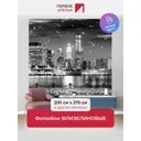 Фотообои флизелиновые Первое ателье Вид на современный ночной город с набережной и фонарями черно-белые 200x270 см