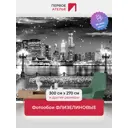 Фотообои флизелиновые Первое ателье Вид на современный ночной город с набережной и фонарями черно-белые 300x270 см