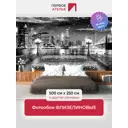 Фотообои флизелиновые Первое ателье Вид на современный ночной город с набережной и фонарями черно-белые pw141208-5 500x250 см