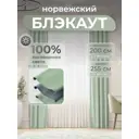 Комплект штор Юмарт Блэкаут ЮМАРТ 103002200255011 на шторной ленте 255x200 см цвет зеленый