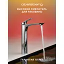 Смеситель для раковины Abelsberg Perfecta INF60102CH однорычажный высокий цвет хром глянцевый