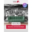 Фотообои флизелиновые Первое ателье 400x200 см Вид на современный ночной город с набережной и фонарями, черно-белые pw141208-4