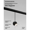 Трековый светильник Elektrostandard 85033/01 Slim Magnetic светодиодный 12 Вт однофазный цвет черный