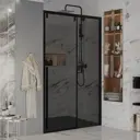 Душевая дверь Ambassador 110022202IBB 130см эффект стекла тонированный раздвижной