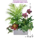 Искусственное растение Фитопарк Орхидея красная в кашпо 60 см