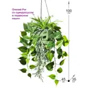 Искусственное растение Фитопарк Олений Рог и Сциндапсус в кашпо 100 см