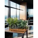 Искусственное растение Фитопарк Драцена в кашпо 35 см