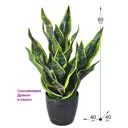 Искусственное растение Фитопарк Щучий хвост Дракон в кашпо 65 см