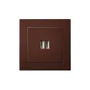 Розетка USB встраиваемая Liregus Epsilon LRG_28-1453 цвет коричневый