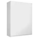 Шкаф распашной Мебельная компания е1 LCK_GL_SH_M1_1000_B 162x220x52.5 см ЛДСП цвет белый снег