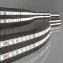 Светодиодная лента Elektrostandard a056426 SMD 2116 120 диод/8 Вт/м 24 В 17.3 см IP20 5 м белый свет