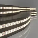 Светодиодная лента Elektrostandard a056425 SMD 2116 120 диод/8 Вт/м 24 В 17.2 см IP20 5 м белый свет