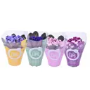 Сенполия Мор Липс микс ø12 h20 см