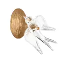 Настенный светильник светодиодный Loft It 10378W Voa теплый белый (желтый) свет цвет коричневый