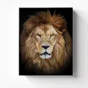 Картина без рамки Postermarket Африканский лев 50x40 см