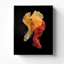 Картина без обрамления Postermarket "Бойцовые рыбки" 40x50 см