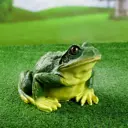 Садовая фигура Хорошие сувениры Лягушка 22x18x15 см